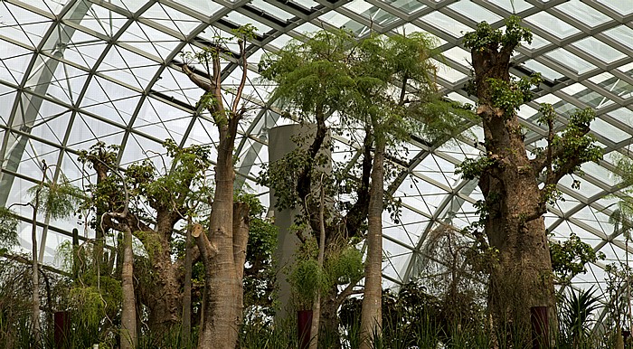 Gardens by the Bay: Bay South Garden - Flower Dome Singapur