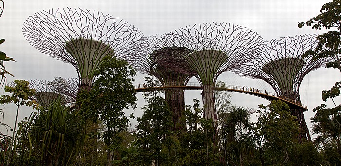 Singapur Gardens by the Bay: Bay South Garden - The Supertree Grove mit OCBC Skyway