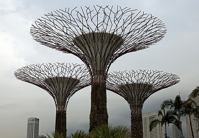 Singapur Gardens by the Bay: Bay South Garden - Silver Garden (Supertrees)