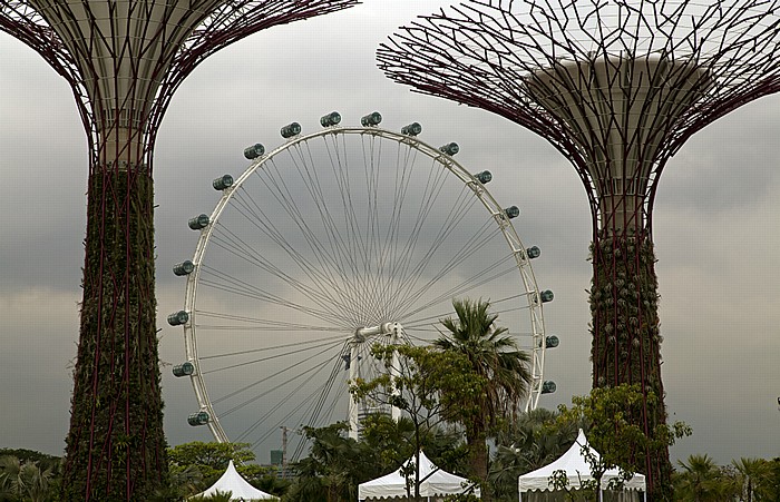Gardens by the Bay: Bay South Garden - Silver Garden (Supertrees) und Singapore Flyer Singapur