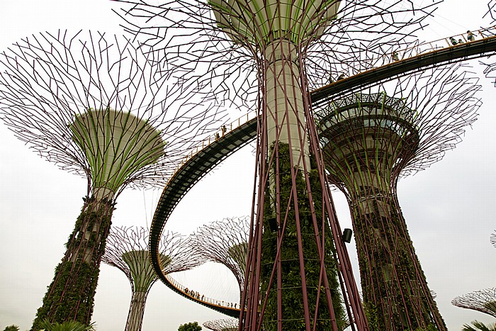 Singapur Gardens by the Bay: Bay South Garden - The Supertree Grove mit OCBC Skyway
