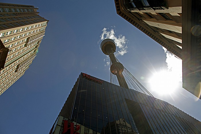 Central Business District (CBD): Sydney Tower Sydney
