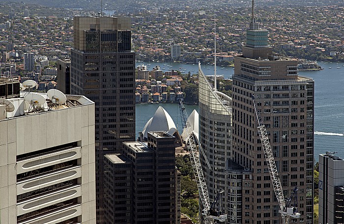 Blick vom Sydney Tower: Central Business District (CBD), Port Jackson (Sydney Harbour), North Shore Sydney
