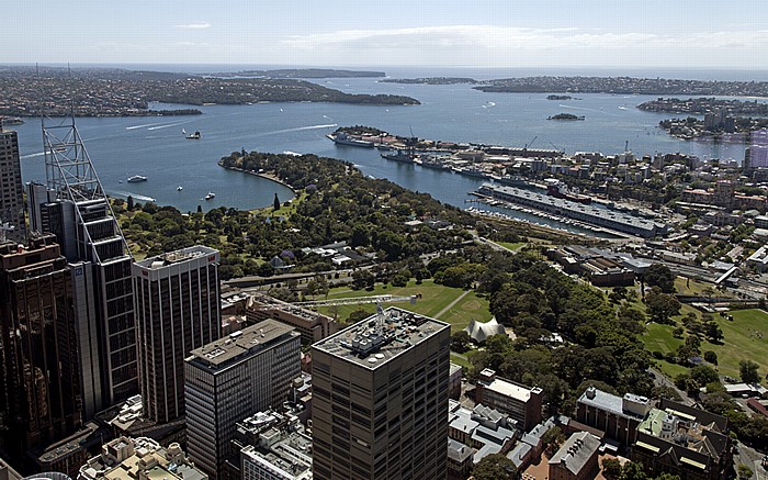 Blick vom Sydney Tower: Central Business District (CBD), Port Jackson (Sydney Harbour), North Shore, Pazifischer Ozean Sydney