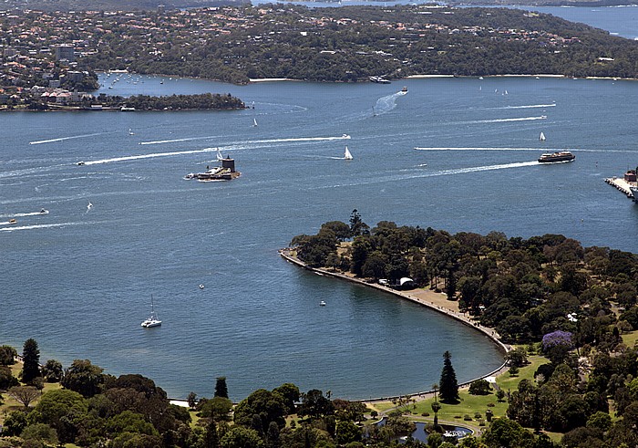Blick vom Sydney Tower: Port Jackson (Sydney Harbour) Sydney
