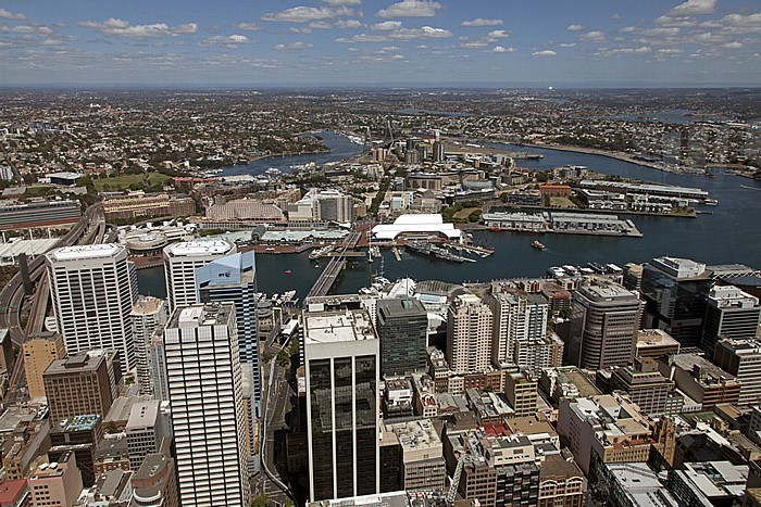 Blick vom Sydney Tower: Central Business District (CBD), Darling Harbour, Port Jackson (Sydney Harbour) Sydney