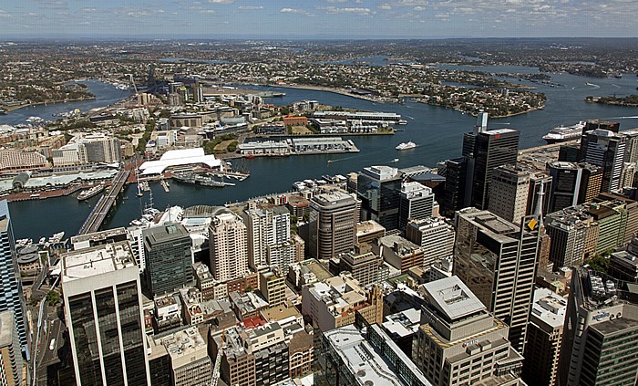 Blick vom Sydney Tower: Central Business District (CBD), Port Jackson (Sydney Harbour) - Darling Harbour mit Cockle Bay Sydney