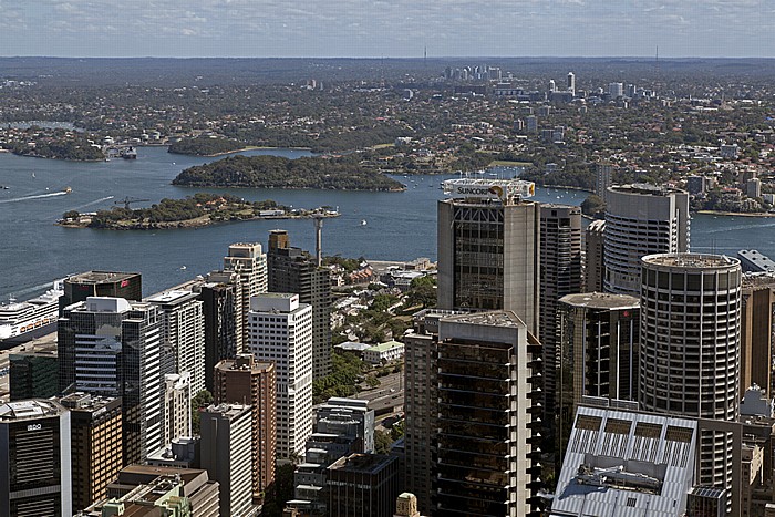 Blick vom Sydney Tower: Central Business District (CBD), Port Jackson (Sydney Harbour), Northern Suburbs Sydney