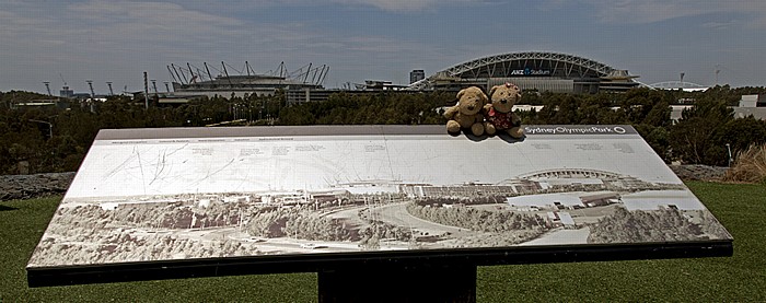 Sydney Haslams Creek Marker: Teddy und Teddine Allphones Arena ANZ Stadium Sydney Olympic Park