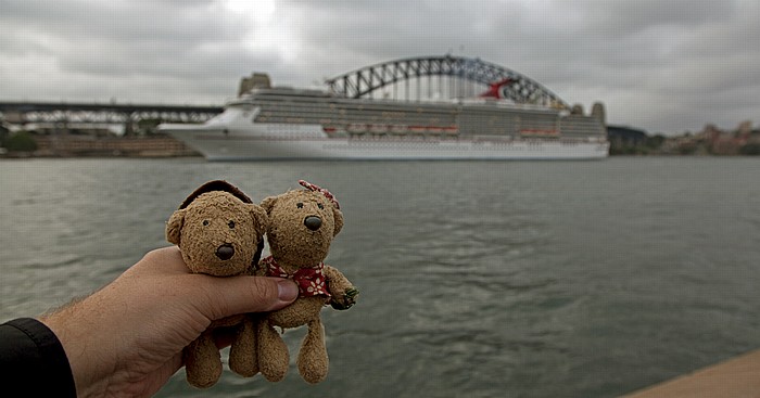 Sydney Circular Quay: Teddy und Teddine Sydney Cove Sydney Harbour Bridge