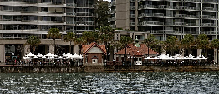 Sydney Cove, Circular Quay Sydney