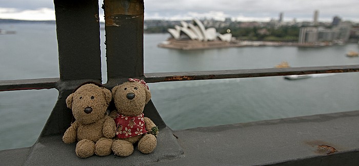 Sydney Harbour Bridge: Teddy und Teddine Port Jackson Sydney Opera House