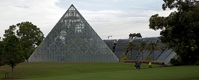 Royal Botanic Gardens: Tropical Centre Glasshouses Sydney