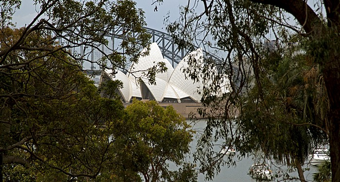 Sydney Royal Botanic Gardens Farm Cove Sydney Harbour Bridge Sydney Opera House