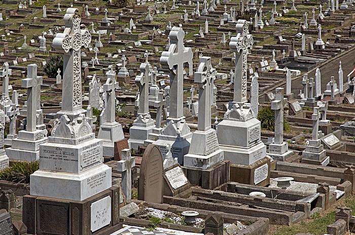 Sydney Bronte: Waverley Cemetery