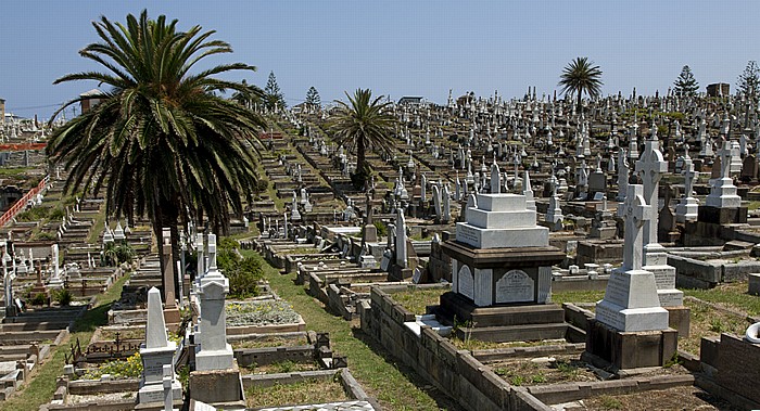 Sydney Bronte: Waverley Cemetery