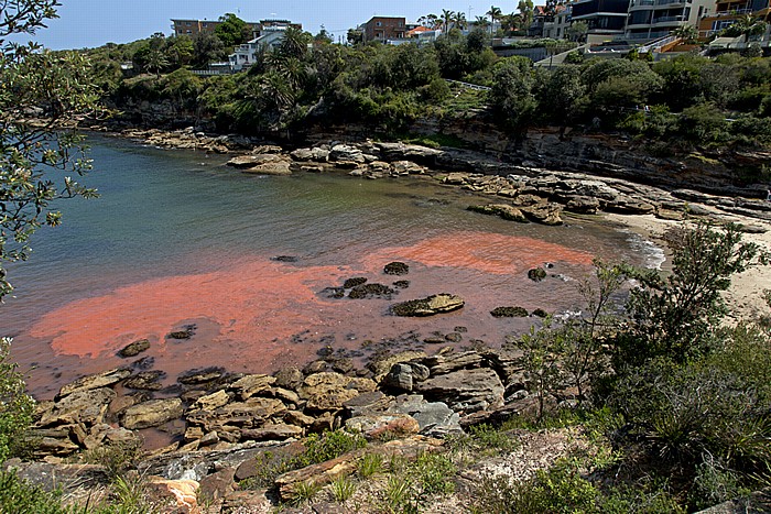 Coogee: Gordons Bay, Pazifischer Ozean Sydney