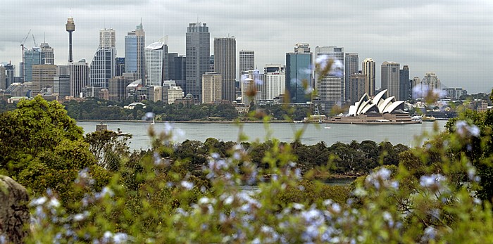 Blick vom Taronga Zoo auf Port Jackson und Central Business District (CBD) Sydney