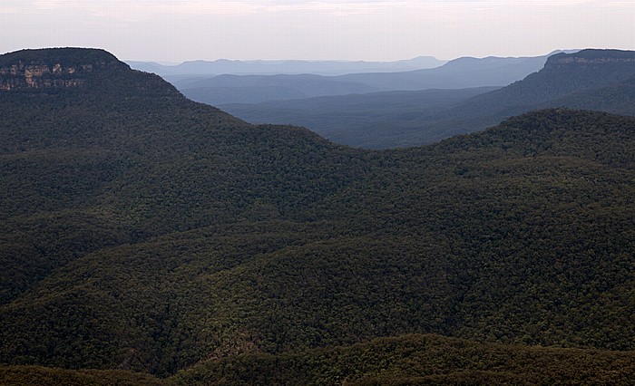 Blick vom Echo Point Lookout: Blue Mountains National Park - Jamison Valley Katoomba