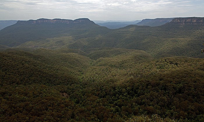 Blick vom Prince Henry Cliff Walk: Blue Mountains National Park - Jamison Valley, Mount Solitary Katoomba