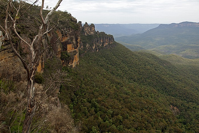 Blick vom Prince Henry Cliff Walk: Blue Mountains National Park - Jamison Valley Katoomba