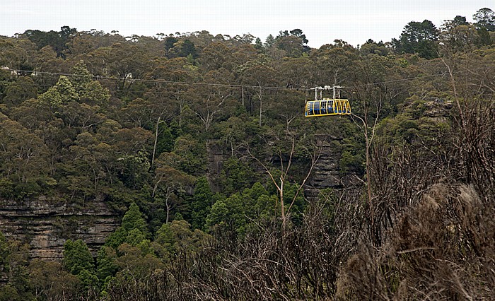 Blick vom Prince Henry Cliff Walk: Blue Mountains National Park - Scenic Skyway Katoomba