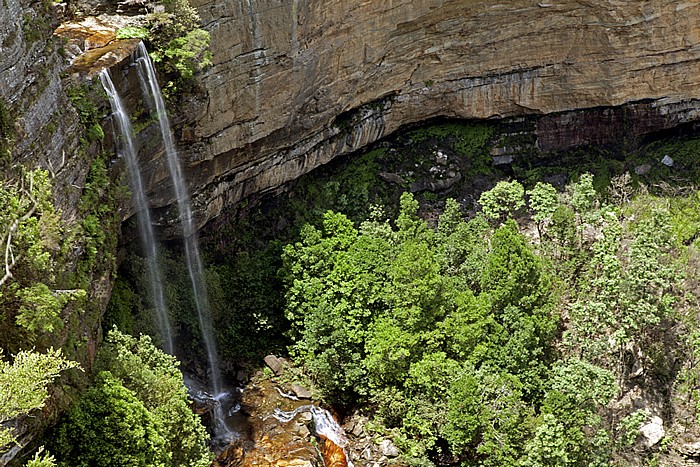 Blick vom Prince Henry Cliff Walk: Blue Mountains National Park - Katoomba Falls Katoomba