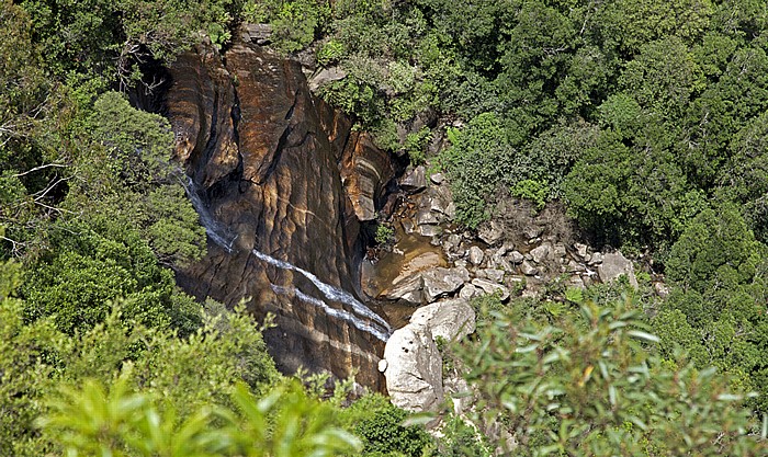Blick vom Prince Henry Cliff Walk: Blue Mountains National Park - Katoomba Falls Katoomba