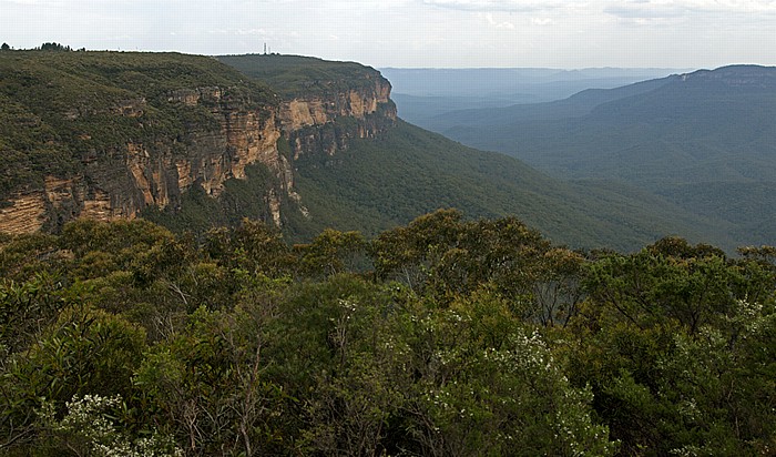 Blue Mountains National Park: Kings Tableland Wentworth Falls