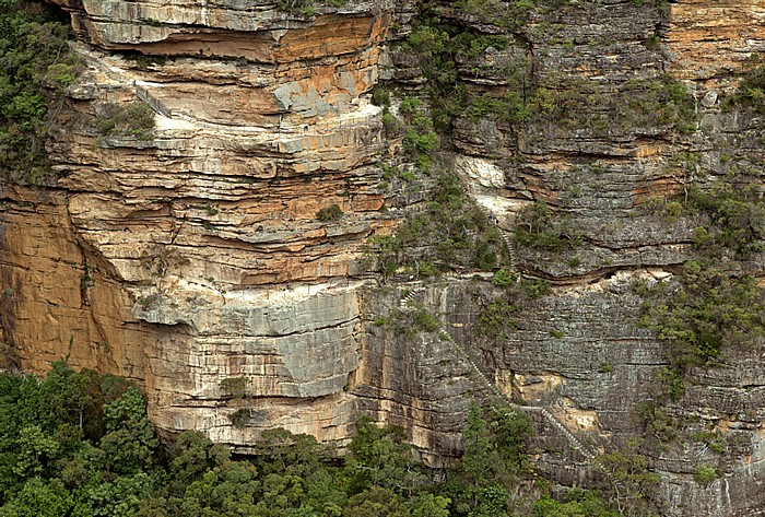 Blick vom Princes Rock Lookout: Blue Mountains National Park - Cliff Walks Wentworth Falls