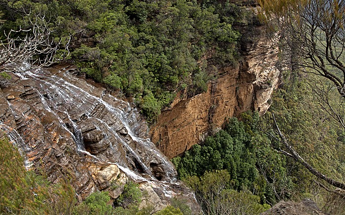 Blick vom Fletchers Lookout: Blue Mountains National Park - Wentworth Falls
