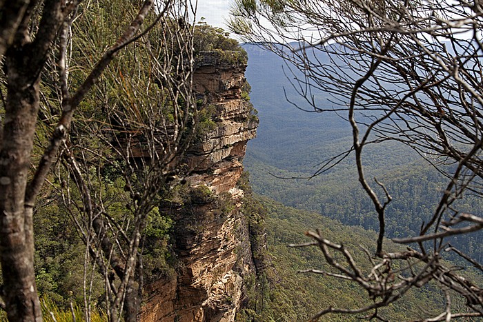 Blick vom Fletchers Lookout: Blue Mountains National Park Wentworth Falls