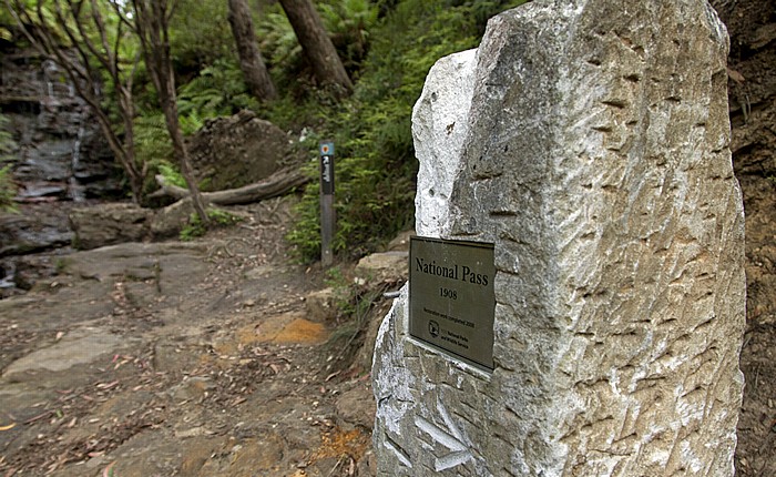 Blue Mountains National Park: National Pass Walking Trail Wentworth Falls