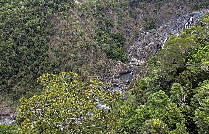 Blick aus der Skyrail Rainforest Cableway: Barron Gorge National Park - Barron Gorge und Barron Falls Atherton Tablelands