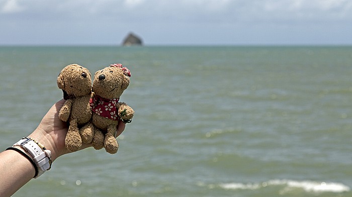 Palm Cove Teddy und Teddine