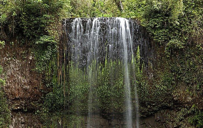 Waterfalls Circuit: Millaa Millaa Falls Atherton Tablelands