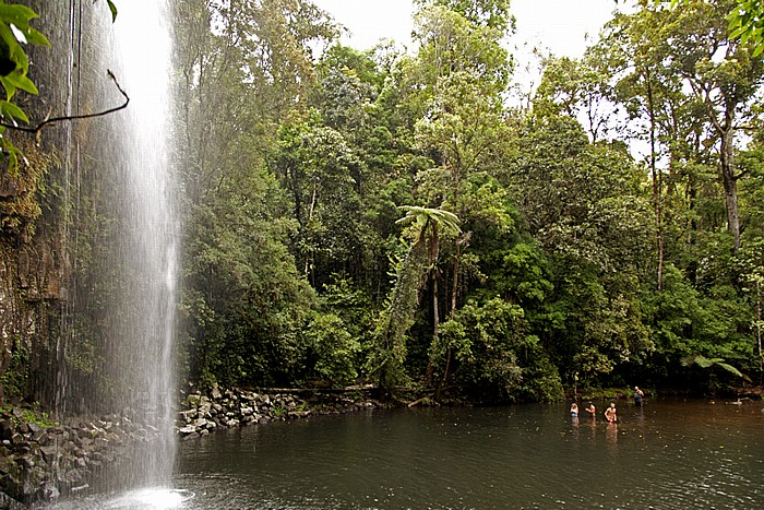 Waterfalls Circuit: Millaa Millaa Falls Atherton Tablelands