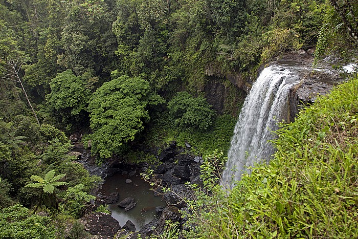 Atherton Tablelands Waterfalls Circuit: Zillie Falls