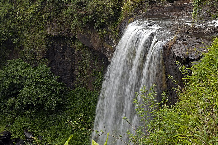 Waterfalls Circuit: Zillie Falls Atherton Tablelands