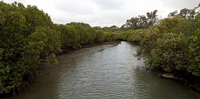 Hervey Bay Pialba: Tooan Tooan Creek