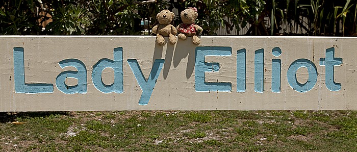 Lady Elliot Island Teddy und Teddine Lady Elliot Island