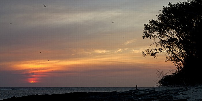 Lady Elliot Island Sonnenuntergang über der Korallensee (Coral Sea) Lady Elliot Island