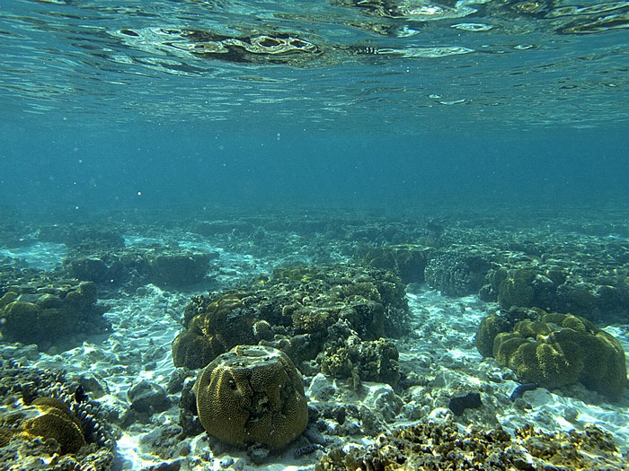 Korallensee (Coral Sea): Great Barrier Reef - Lagune (Lagoon) Lady Elliot Island