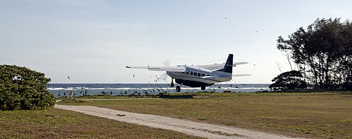Start einer Cessna 208B Grand Caravan Lady Elliot Island