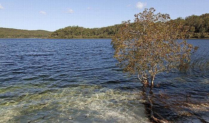 Lake McKenzie Fraser Island