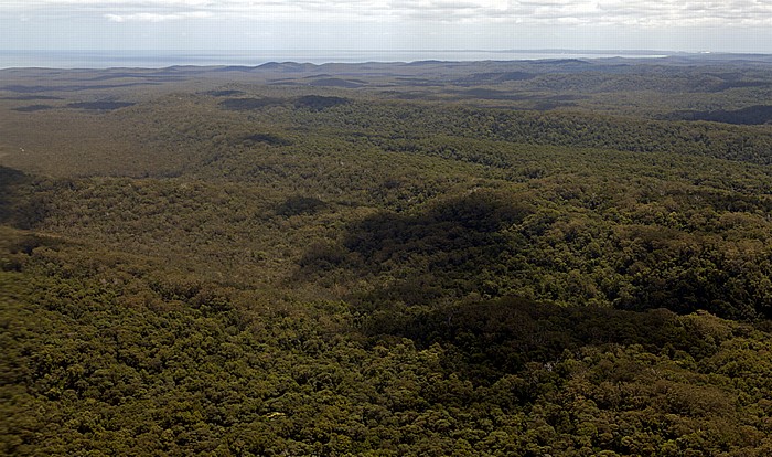 Fraser Island Luftbild aus der Gippsland GA-8 Airvan: Regenwald