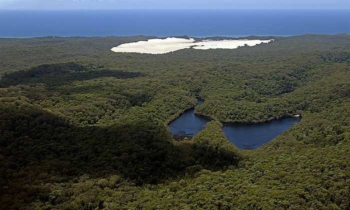 Luftbild aus der Gippsland GA-8 Airvan: Regenwald mit den Freshwater Lakes Fraser Island