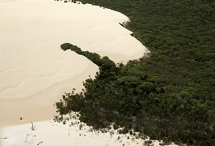 Luftbild aus der Gippsland GA-8 Airvan: Sandblow, Regenwald Fraser Island