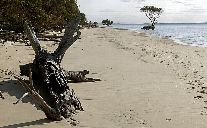 Kingfisher Bay: Strand, Great Sandy Strait Fraser Island