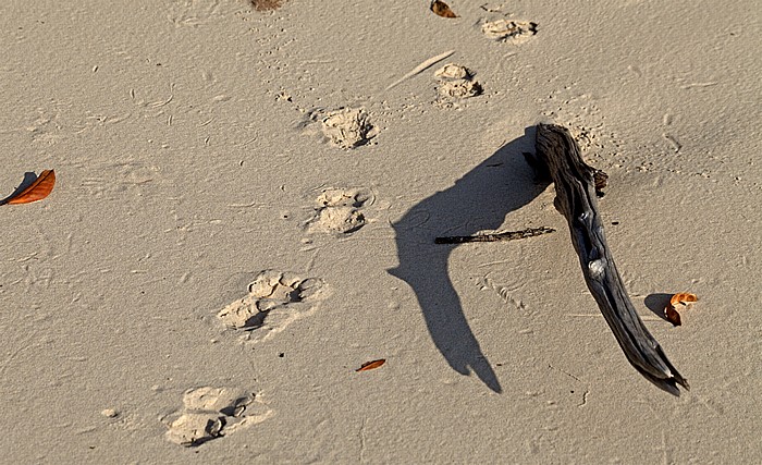 Fraser Island Kingfisher Bay: Strand - Spuren im Sand